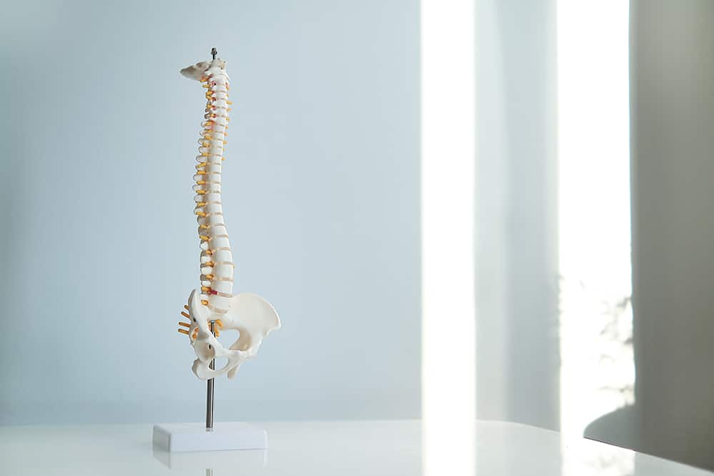 Σπονδυλίτιδα – Σπονδυλοαρθρίτιδα